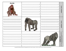 Leporello-Gorilla-3-1-2.pdf